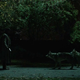 Illustration for article titled In "Resurrection," Penny Dreadful Heads To The Zoo
